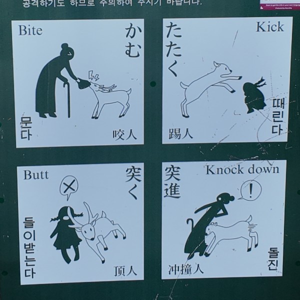 A warning sign about young deer